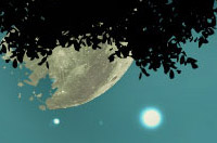 Nashville website design for billy swayze